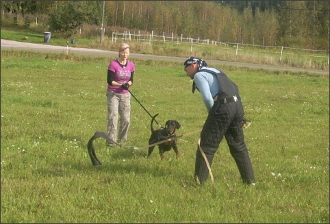 Seminar in Finland 7. - 9. 9. 2007